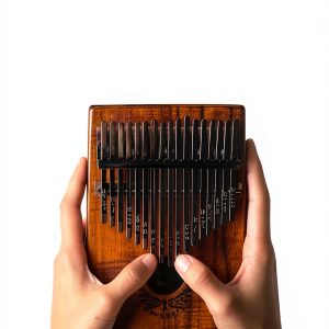 Kindle eBook String Instruments Music Instruction Study-0