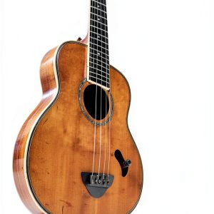 Ukulele Book Headstock Books Music Theory Beginners Guide-0