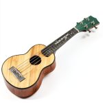 Ukulele How to Play Book Kindle Music Techniques Guide-0