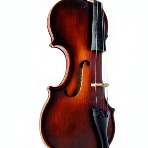 Reel Books Bluegrass Music Digital Guide for Musicians-0